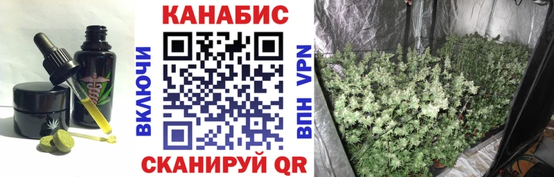 Cannafood конопля  магазин  наркотиков  Асино 
