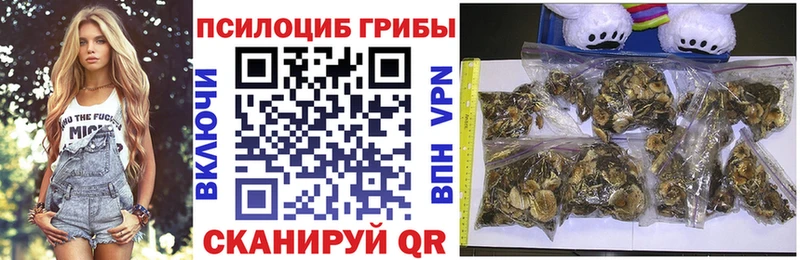 хочу   Асино  Псилоцибиновые грибы ЛСД 